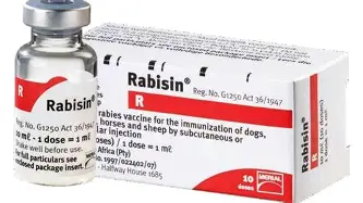 Vắc-xin Rabisin của Pháp