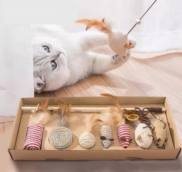 Mèo chơi với cây đồ chơi gắn bóng lông