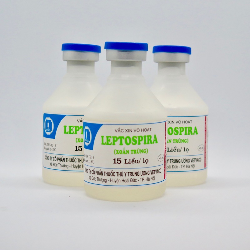 Vắc-xin Leptospira