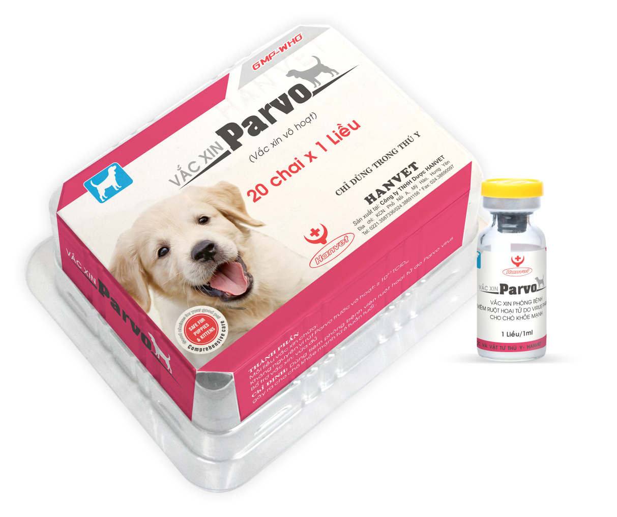 Vắc-xin Parvo bảo vệ boss khỏi bệnh đường tiêu hóa nguy hiểm
