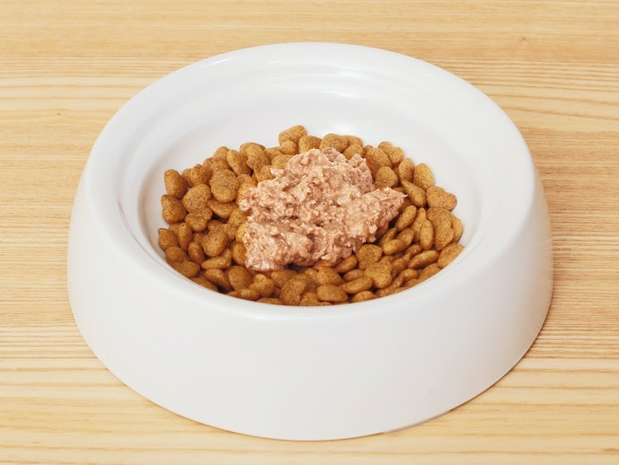 Pate khi bị khô bề mặt