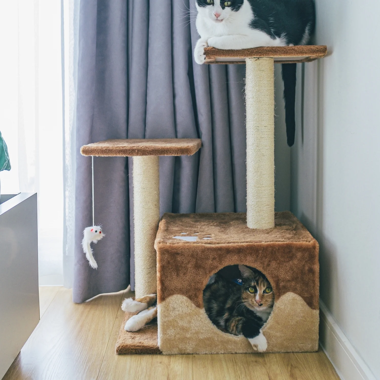 Nhà cat tree cho mèo