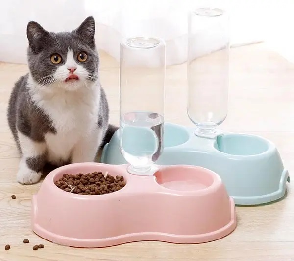 Bát ăn kết hợp đựng nước uống tiện dụng cho mèo