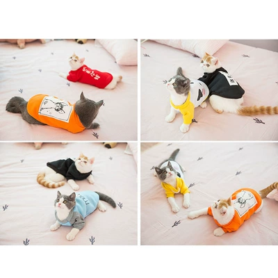 Những chú mèo được mặc quần áo dễ thương
