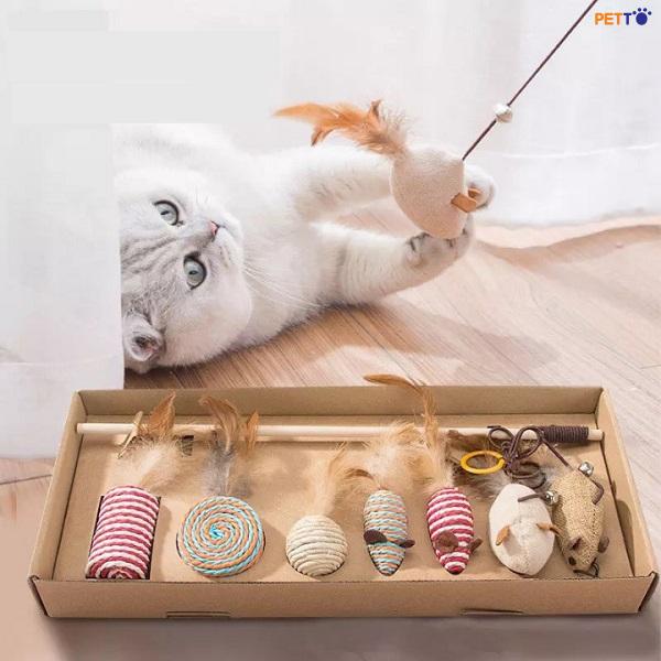 Cách dạy chó mèo không cắn phá đồ đạc khi ở nhà một mình hiệu quả nhất